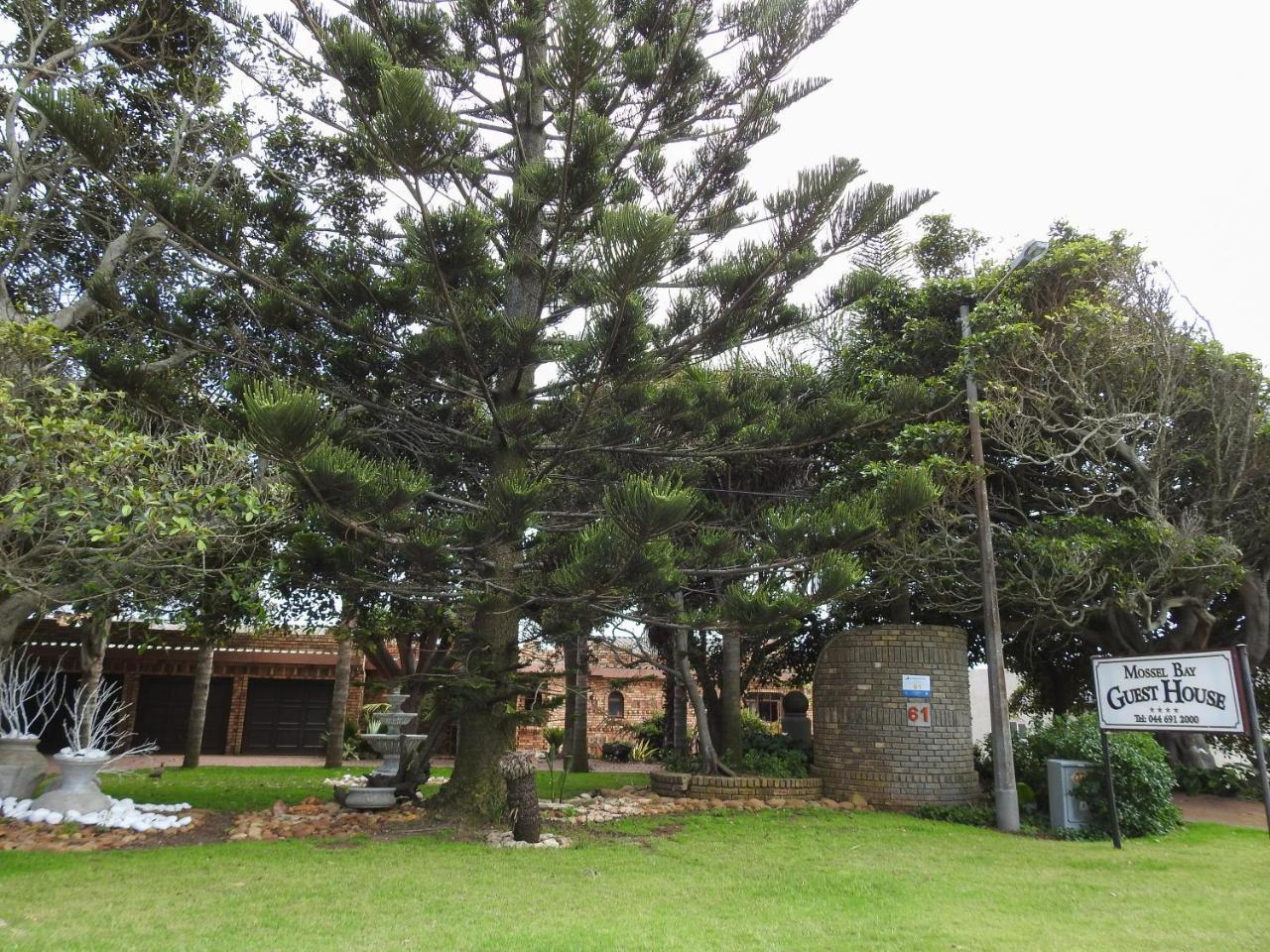 Mossel Bay Guest House Dış mekan fotoğraf
